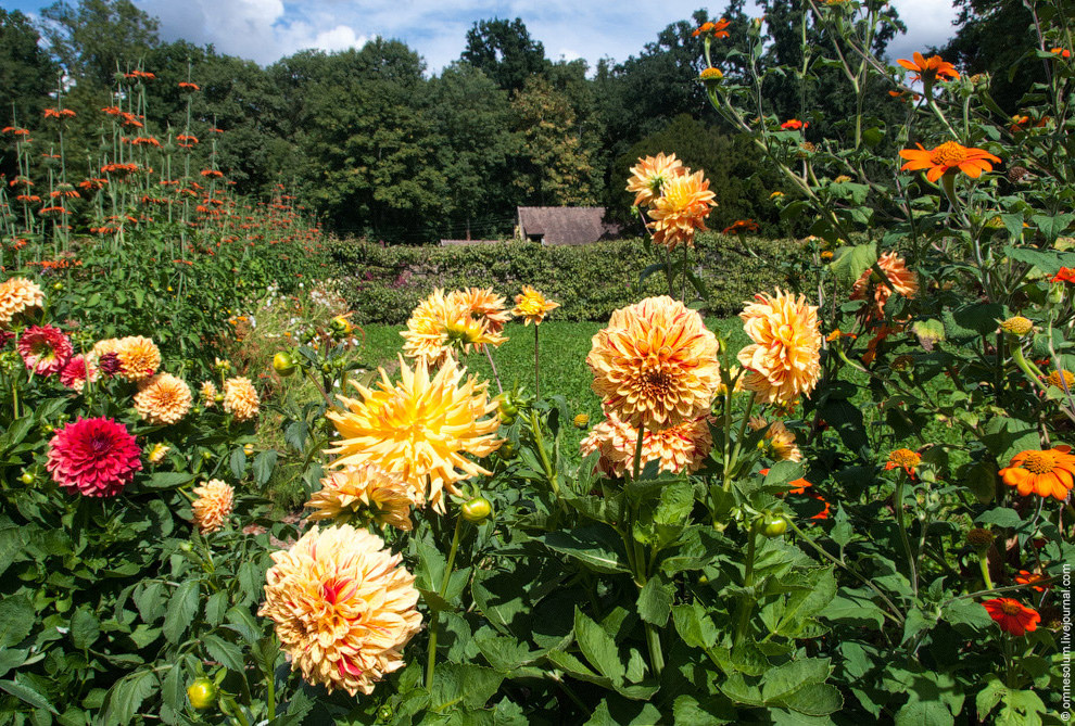 Лучший сад-огород в окрестностях Парижа Лучший сад-огород в окрестностях Парижа