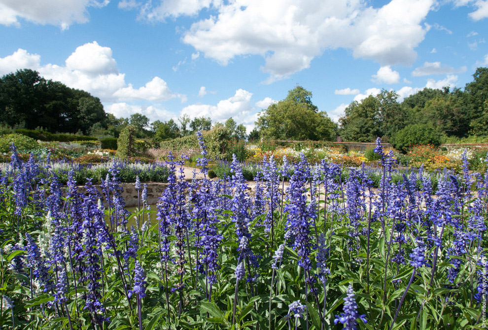 Лучший сад-огород в окрестностях Парижа Лучший сад-огород в окрестностях Парижа