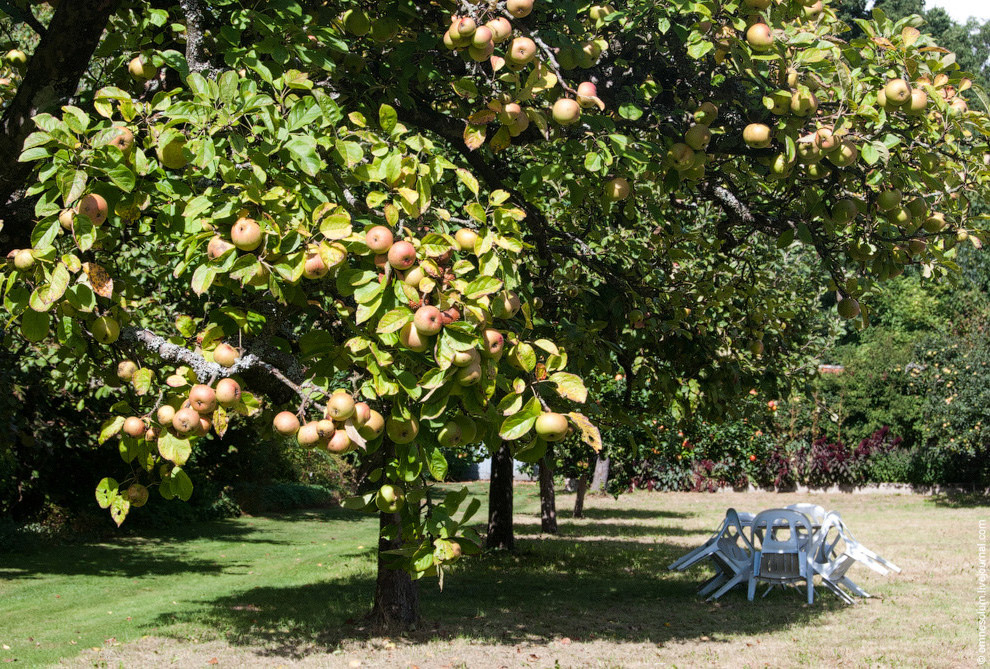 Лучший сад-огород в окрестностях Парижа Лучший сад-огород в окрестностях Парижа