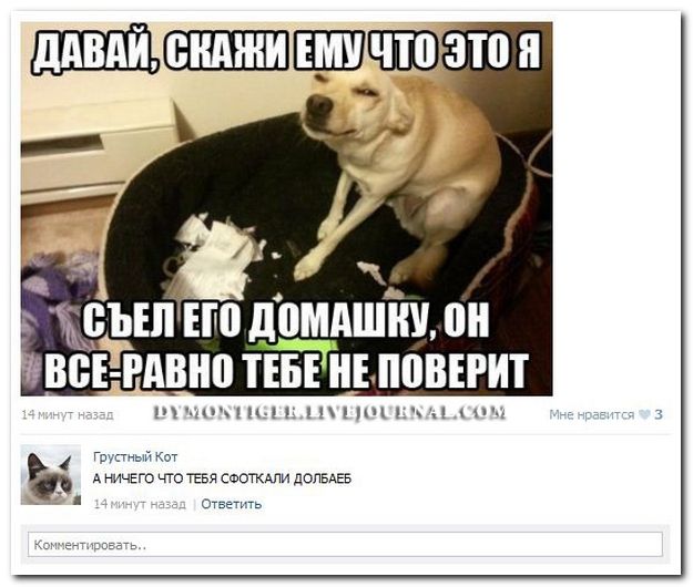 Смешные комментарии в социальных сетях  (40 фото)