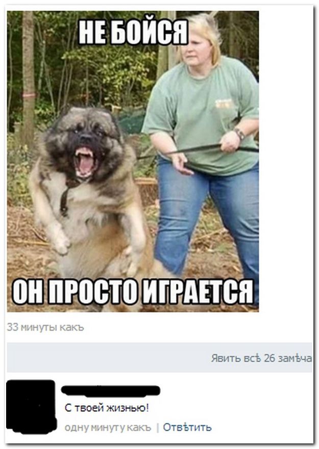 Смешные комментарии в социальных сетях  (40 фото)