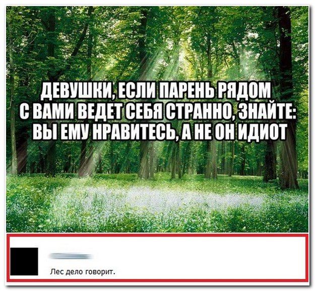 Смешные комментарии в социальных сетях  (40 фото)