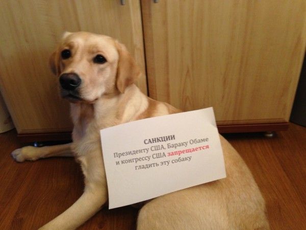 Санкции  (20 фото)