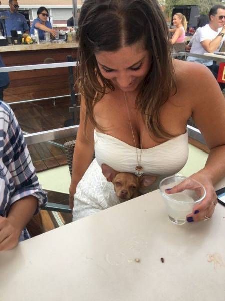 Забавные девушки