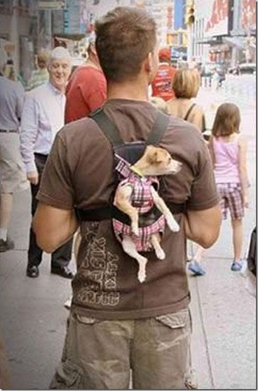 Народные изобретения (82 фото)