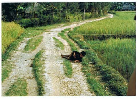 Нарушение субординации Хьюза Томпсона