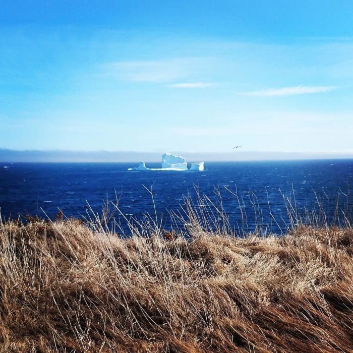 Парад айсбергов у канадского побережья