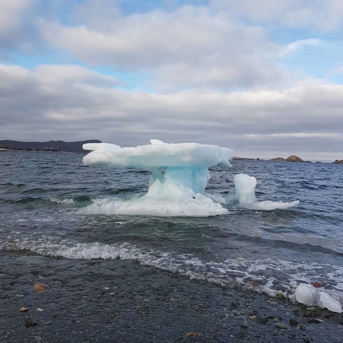 Парад айсбергов у канадского побережья