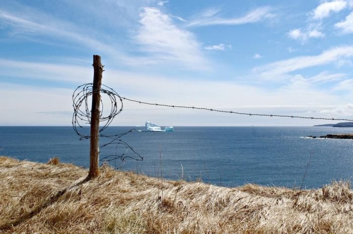 Парад айсбергов у канадского побережья