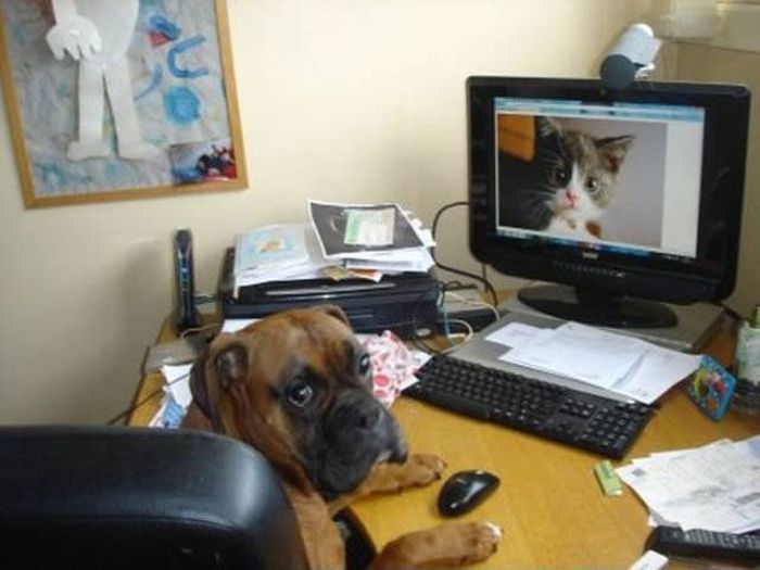 Компьютерные технологии