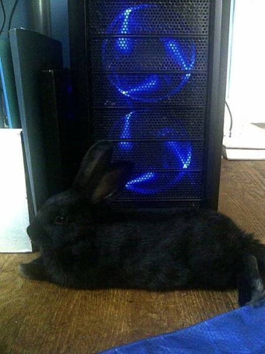 Компьютерные технологии