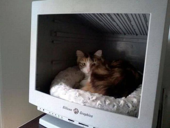 Компьютерные технологии