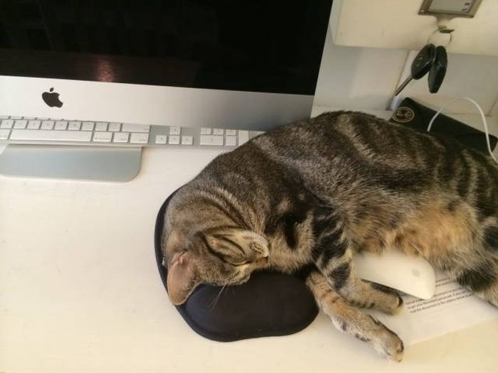 Компьютерные технологии