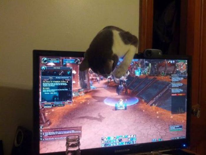 Компьютерные технологии