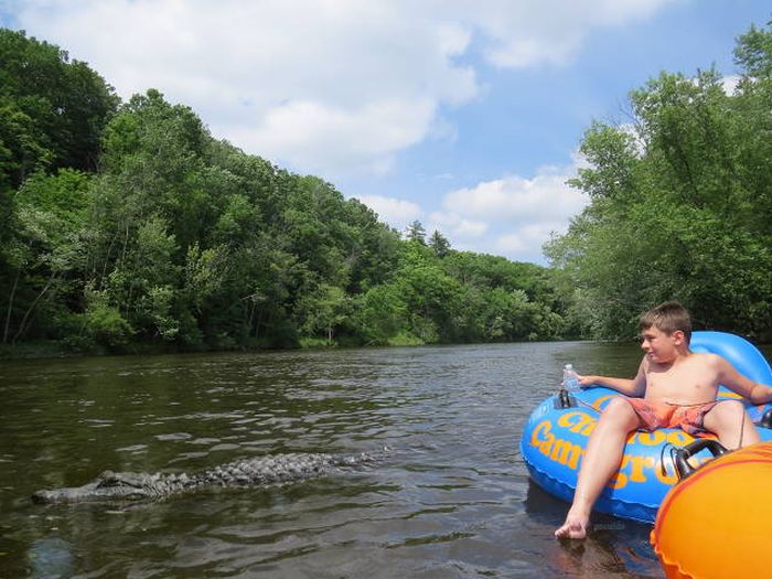 Различные виды отдыха в одной подборке