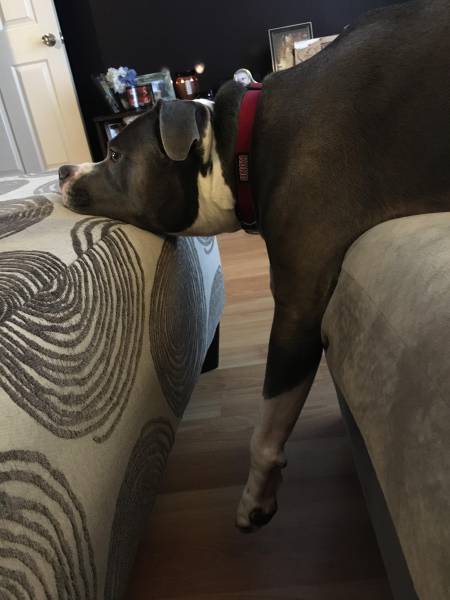 Различные виды отдыха в одной подборке