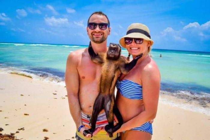 Различные виды отдыха в одной подборке