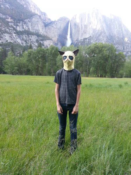 Различные виды отдыха в одной подборке