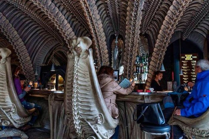 Различные виды отдыха в одной подборке