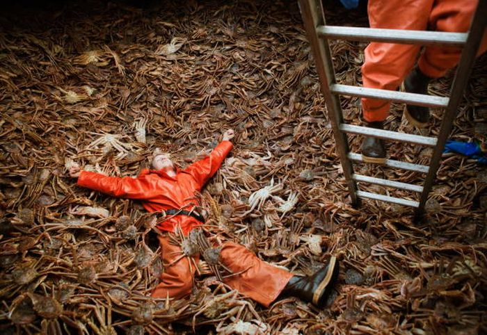 Различные виды отдыха в одной подборке