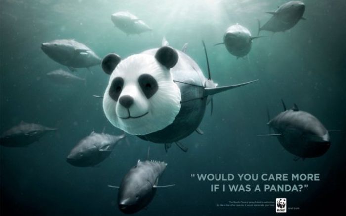 Креативная реклама, которую нельзя не запомнить