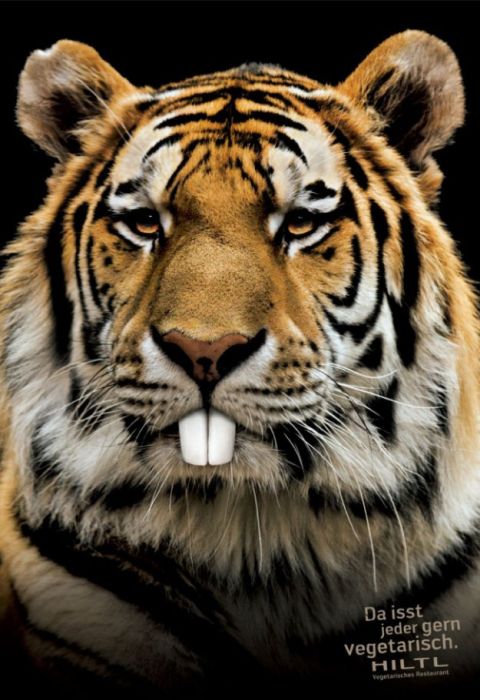 Креативная реклама, которую нельзя не запомнить