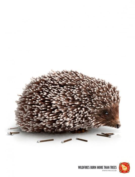 Креативная реклама, которую нельзя не запомнить