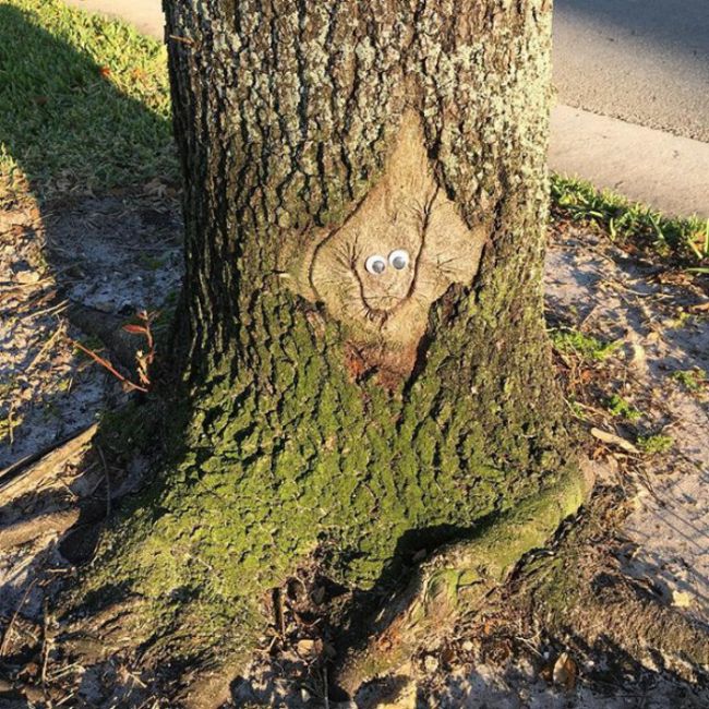 Веселые эксперименты с глазами Googly Eyes