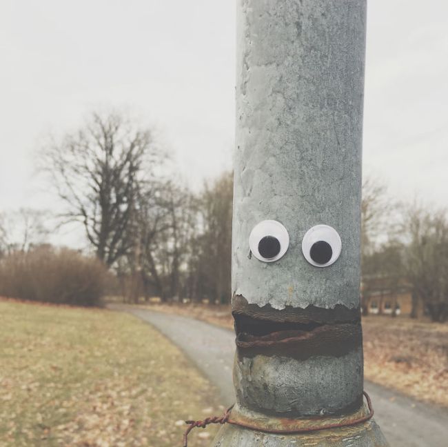 Веселые эксперименты с глазами Googly Eyes