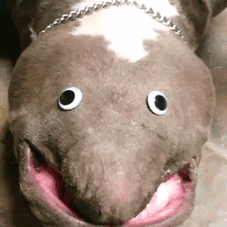 Веселые эксперименты с глазами Googly Eyes