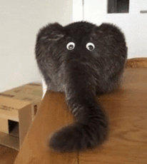 Веселые эксперименты с глазами Googly Eyes