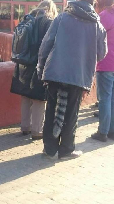 Подборка крайне странных фотографий