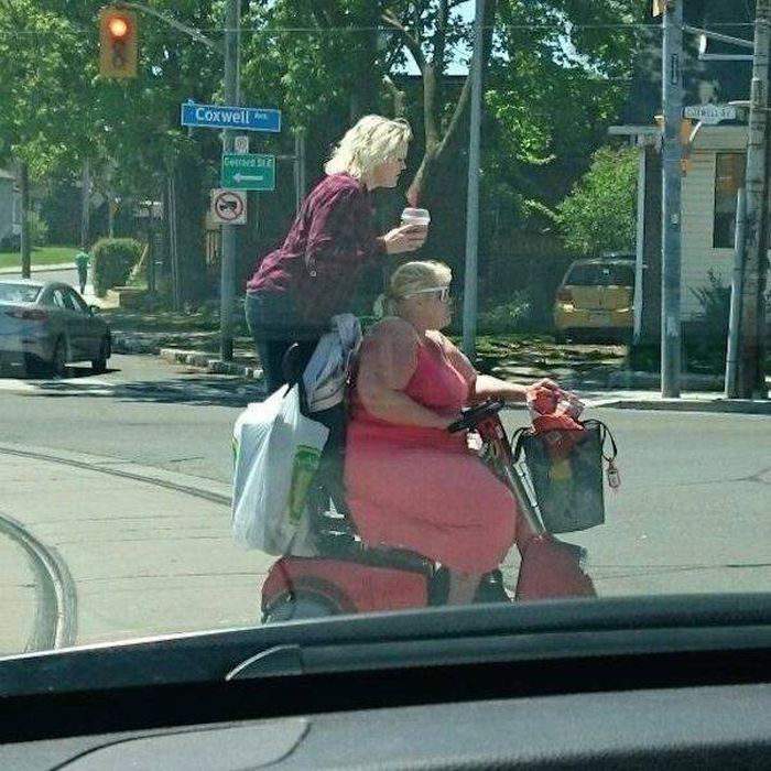 Подборка крайне странных фотографий