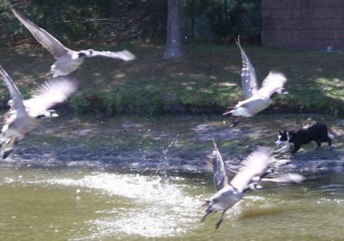 Оригинальные способы разбогатеть Оригинальные способы разбогатеть