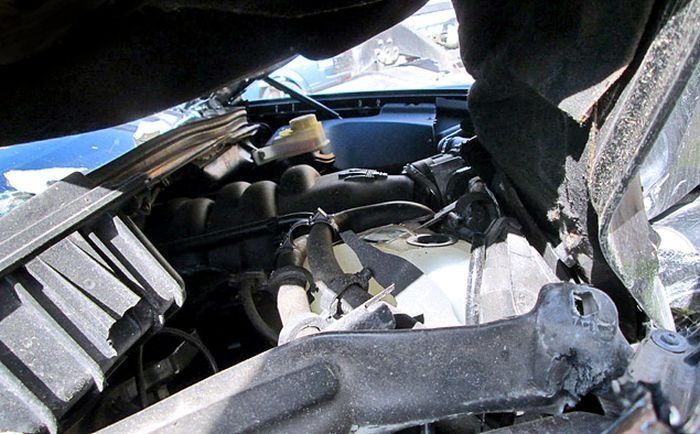 Страшный сон страховщика (82 фото)