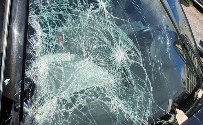 Страшный сон страховщика (82 фото)