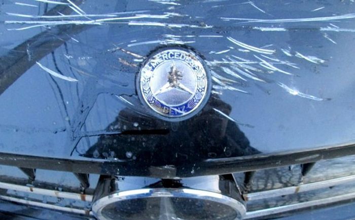 Страшный сон страховщика (82 фото)