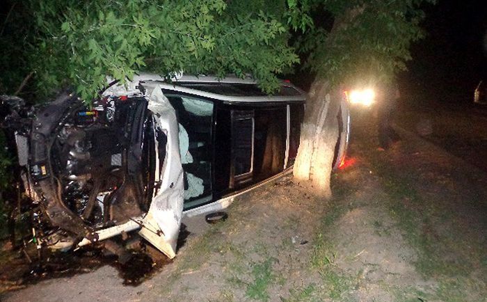 Страшный сон страховщика (82 фото)