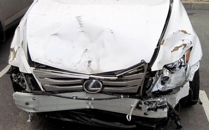 Страшный сон страховщика (82 фото)