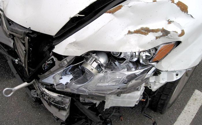 Страшный сон страховщика (82 фото)