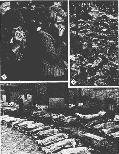 Латышский Легион смерти (7 фото)