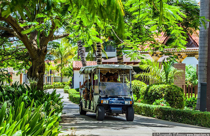 75 фактов про Доминиканскую Республику