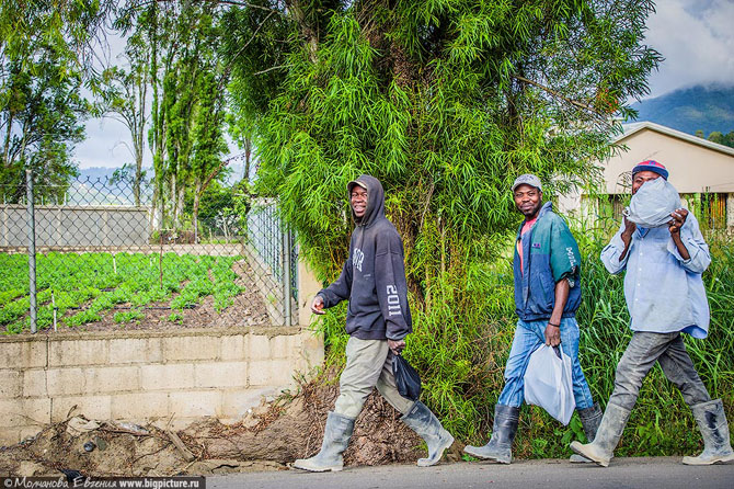 75 фактов про Доминиканскую Республику