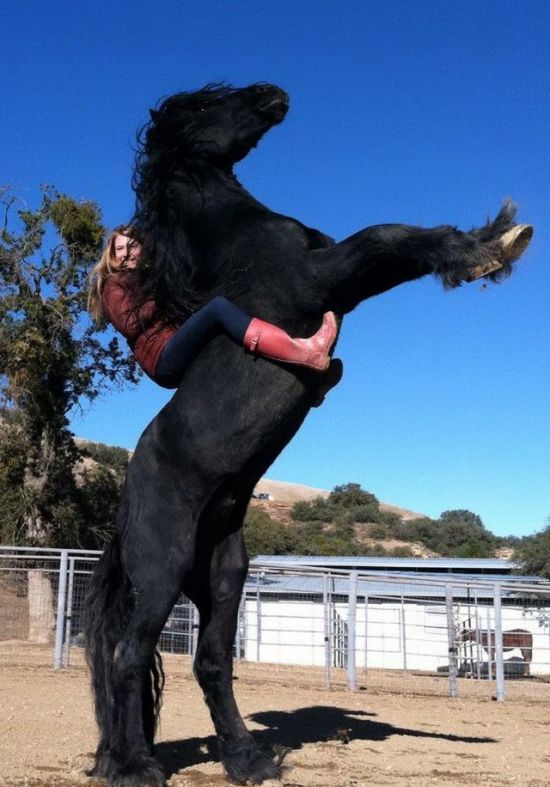 Прикольные спортивные фотографии