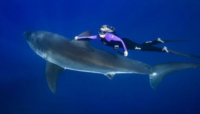 Прикольные спортивные фотографии