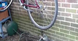 Девушки дурачатся