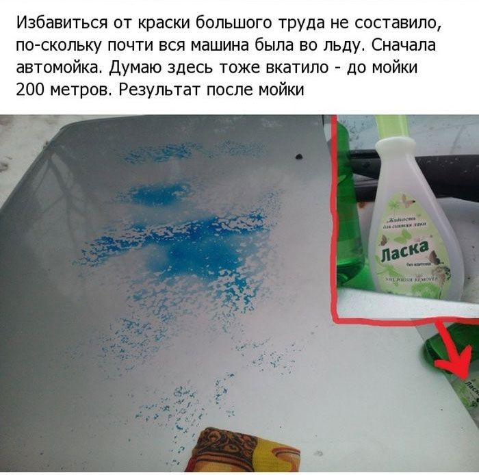 Неудачная месть (6 фото)