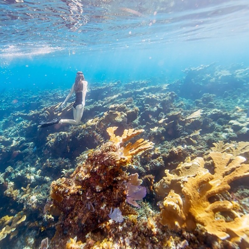 Настоящая русалка (45 фото)