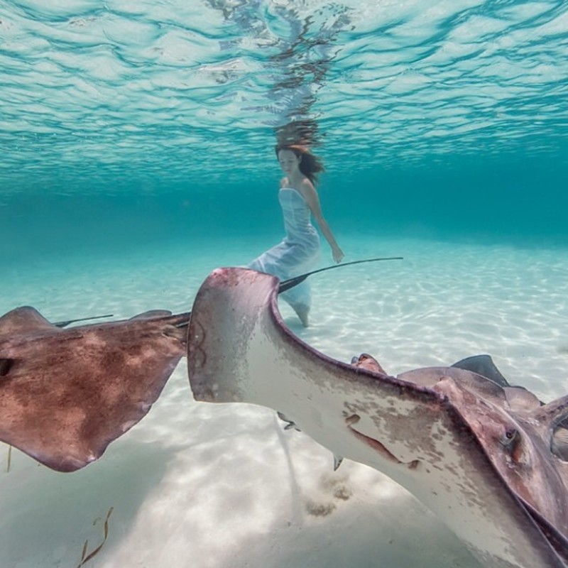 Настоящая русалка (45 фото)