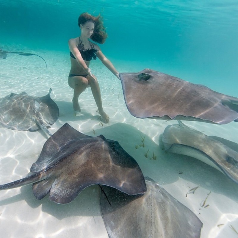 Настоящая русалка (45 фото)